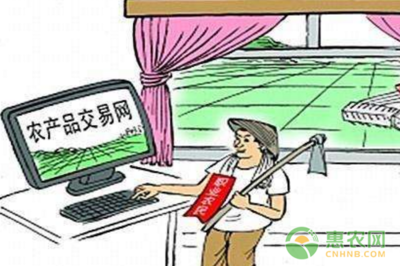 數字技術賦能，郵路變富路 中國郵政電商精準扶貧引領返鄉創業新浪潮